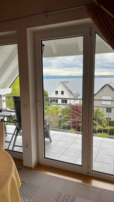 Blick durch eine Glastür auf einen Balkon mit Seeblick und grünem Umfeld.
